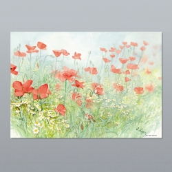 Placemats 30x43 Poppies {100 szt.}